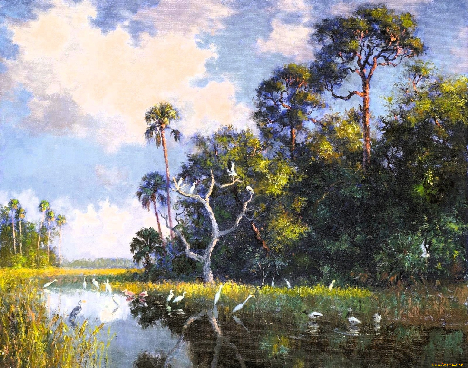 , albert ernest backus, , , , 